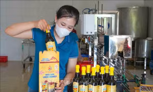 Mở rộng thị trường qua hội chợ sản phẩm tiêu biểu miền Trung - Tây Nguyên