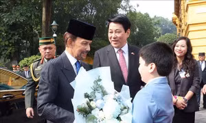Lễ đón chính thức Quốc vương Brunei