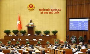 Kỳ họp thứ 9, Quốc hội khóa XV: Thông qua Luật sửa đổi, bổ sung một số điều của Luật Quốc tịch Việt Nam