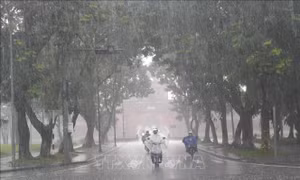 Huế đồng bộ phương án ứng phó mưa lũ cuối năm 2026