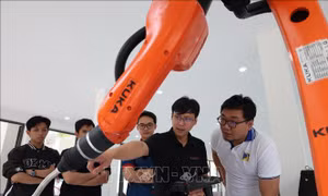 Chương trình đào tạo đại học: Chuẩn đầu ra bắt buộc có năng lực số và AI