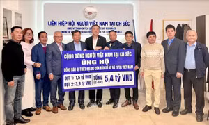 Cộng đồng người Việt tại Séc chung tay hỗ trợ đồng bào vùng bão ở quê nhà