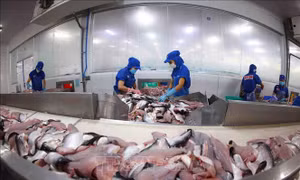 Cảnh báo sớm bảo vệ hàng xuất khẩu