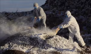 Mexico ghi nhận ca tử vong đầu tiên ở người do virus cúm gia cầm H5N1       