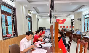 Chấm điểm, đánh giá viên chức hằng tháng hoặc hằng quý