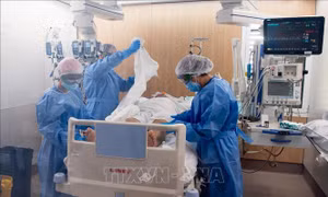 Giải mã lý do COVID-19 gây tổn thương kéo dài trong cơ thể