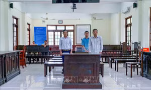 Làm hồ sơ kiểm dịch 'ảo' cho lợn bệnh, ba đối tượng nhận cái kết đắng