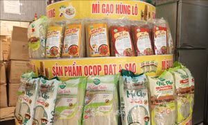 Đòn bẩy nâng tầm giá trị nông sản vùng Đất Tổ