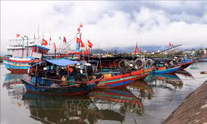 Ứng phó bão số 10: Hà Tĩnh cấm biển từ sáng 27/9
