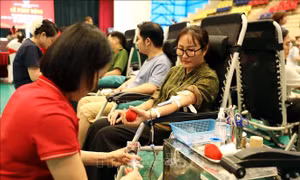 32 tỉnh, thành phố tham gia Chiến dịch hiến máu Hành trình Đỏ năm 2026