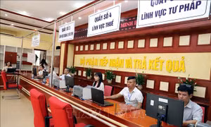 Thủ tướng chỉ đạo tăng cường kết nối, chia sẻ dữ liệu đảm bảo thông tin thông suốt