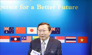 Chuyên gia Trung Quốc: Tăng trưởng GDP của Việt Nam năm 2025 là một thành tựu nổi bật