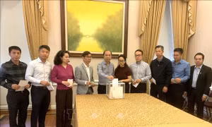 Cộng đồng người Việt tại Mỹ tương thân tương ái hướng về đồng bào vùng bão lũ