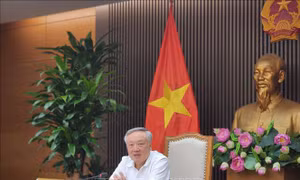 Tham khảo ý kiến chuyên gia về mô hình tổ chức Trung tâm tài chính quốc tế