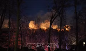 Cháy rừng lan rộng tại bang New Jersey, Mỹ