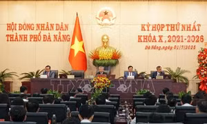 Xây dựng thành phố Đà Nẵng trở thành cực tăng trưởng của Việt Nam