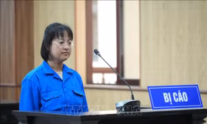Tuyên án chung thân Tổng Giám đốc lừa đảo hơn 426 tỉ đồng