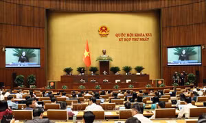 Nâng mức lương cơ sở, tạo động lực phát triển khu vực công