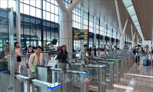 Sẽ triển khai trên toàn quốc Hệ thống cung cấp thông tin chuyến đi trước khi nhập cảnh Việt Nam