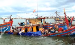 Khẩn trương hỗ trợ ngư dân khắc phục sự cố tàu cá bị chìm