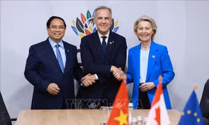 Thủ tướng Phạm Minh Chính gặp Thủ tướng Canada và Chủ tịch EU 