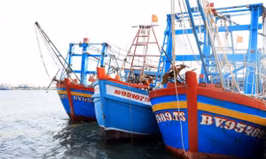 Khắc phục 'thẻ vàng' IUU: Đồng Tháp không còn vi phạm nhờ tuyên truyền, giám sát đồng bộ