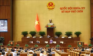 Tinh gọn bộ máy: Tạo sinh lực mới cho phát triển đất nước