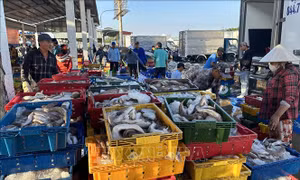 Ngư dân thành 'cánh tay nối dài' chống IUU