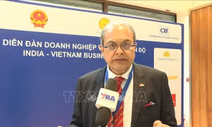 Chủ tịch IVCCI: Ấn Độ và Việt Nam tăng cường hợp tác đúng thời điểm