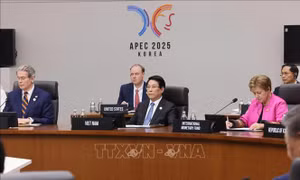 Chủ tịch nước Lương Cường dự Hội nghị Cấp cao APEC lần thứ 32