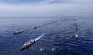 Vùng Cảnh sát biển 4 thực hiện cao điểm phòng, chống IUU