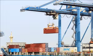 Thành lập chỉ mất 5-7 ngày, vì sao giải thể doanh nghiệp kéo dài vài năm?