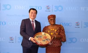 Việt Nam ủng hộ tiến trình cải cách WTO