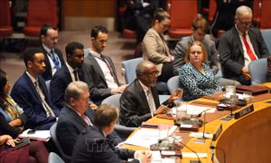 Somalia chính thức đảm nhiệm chức Chủ tịch HĐBA LHQ