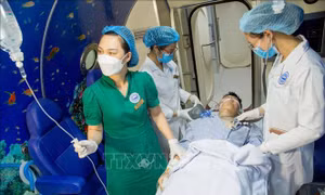 Viện Y học biển tiên phong trong triển khai Nghị quyết 72-NQ/TW