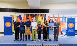 Áo coi trọng quan hệ hợp tác nhiều mặt với ASEAN