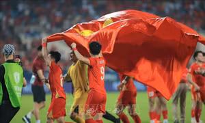 ASEAN Cup 2026: Việt Nam bảo vệ thành công ngôi vô địch