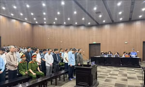 Vụ cựu Thứ trưởng Bộ Nông nghiệp và Phát triển nông thôn: Xét xử vắng mặt 2 bị cáo