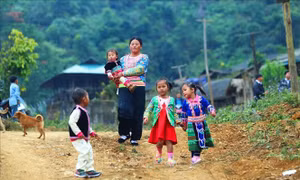 Nâng cao chất lượng bữa ăn bán trú cho trẻ mầm non ở vùng cao