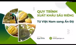 Việt Nam - Ấn Độ nỗ lực mở rộng dư địa thương mại nông sản