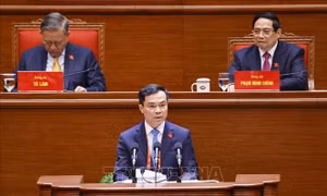 Hoàn thiện lý luận về đường lối đổi mới của Đảng trong kỷ nguyên vươn mình