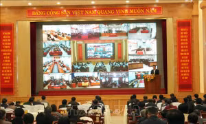 Tập trung nâng cao hiệu quả vận hành mô hình chính quyền địa phương 2 cấp