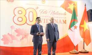 Quan hệ hữu nghị và triển vọng hợp tác mới Việt Nam - Algeria