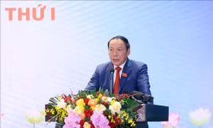 Trên 110.000 lượt ý kiến góp ý cho văn kiện Đại hội XIV của Đảng
