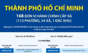 Thông tin chi tiết về 113 phường của thành phố Hồ Chí Minh