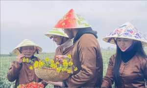 Thủ tướng yêu cầu tăng cường an ninh, an toàn trong hoạt động du lịch