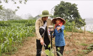 Yên Bái chuẩn bị cho dự án đường sắt Lào Cai - Hà Nội - Hải Phòng
