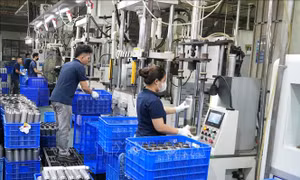 Kinh tế Việt Nam qua góc nhìn quốc tế: Mô hình phát triển cho kỷ nguyên mới 