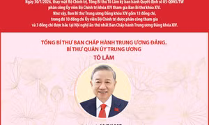 Ban Bí thư Trung ương Đảng khóa XIV (cập nhật ngày 30/1/2026)