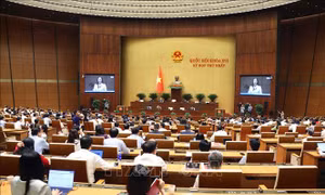 Thông cáo báo chí số 08, Kỳ họp thứ Nhất, Quốc hội khóa XVI